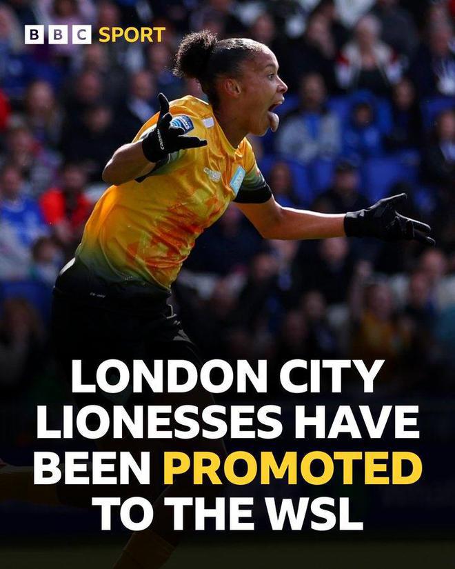 浙江金华华 浙江金华华